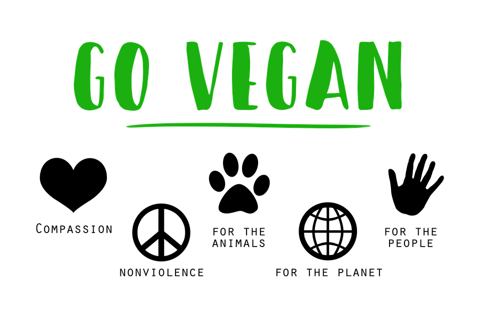 reasons to go vegan