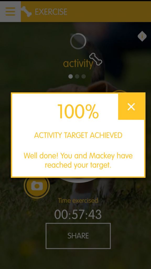 Tracking Your Dog's Fitness with Pedigree Tracks App 3
